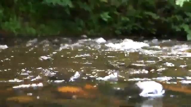 Медитация c Марком Пальчиком смотреть онлайн