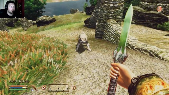 Let's play Good old games: The Elder Scrolls IV Oblivion Part 79 PermaDeath смотреть онлайн