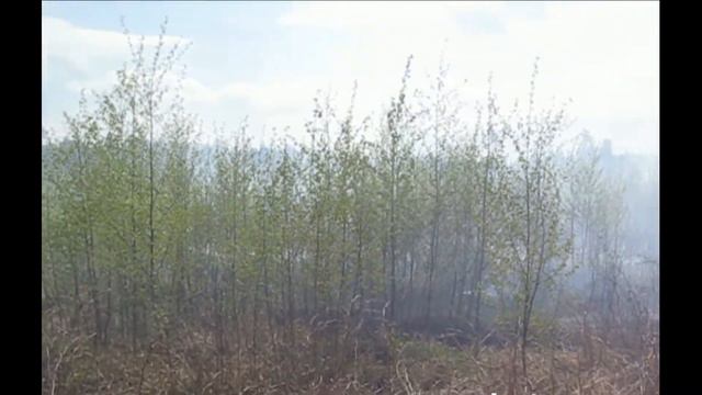 Горят торфяники. Парк "Лосиный остров". 2019 год смотреть онлайн