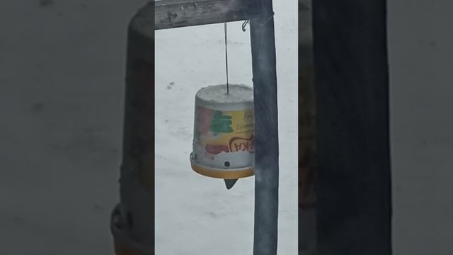 Кормушка для синиц с защитой от воробьев смотреть онлайн