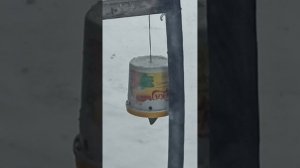 Кормушка для синиц с защитой от воробьев