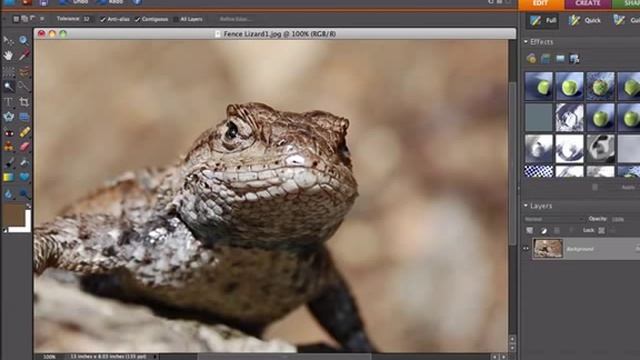 Photoshop Elements 101 The Basics смотреть онлайн