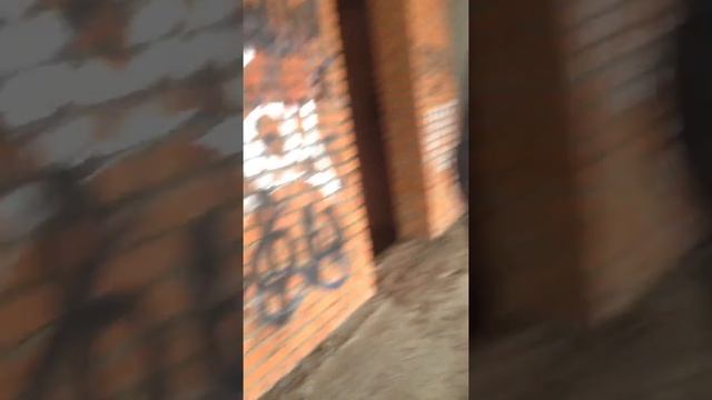 Заброшенный недостроенный дом смотреть онлайн