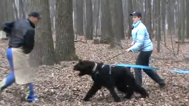 Морган на ЗКС.MPG