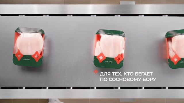 СИБАГРО Кемерово смотреть онлайн