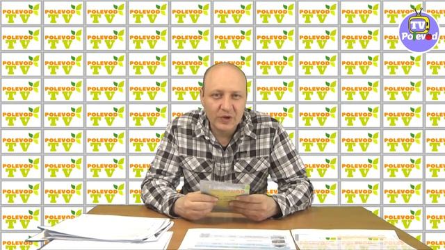 СУПЕР ГИБРИД ОГУРЦА "КРИСТИНА F1" смотреть онлайн