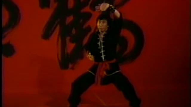 Hung Gar  Tiger And Shaolin Crane Shaolin Kung Fu