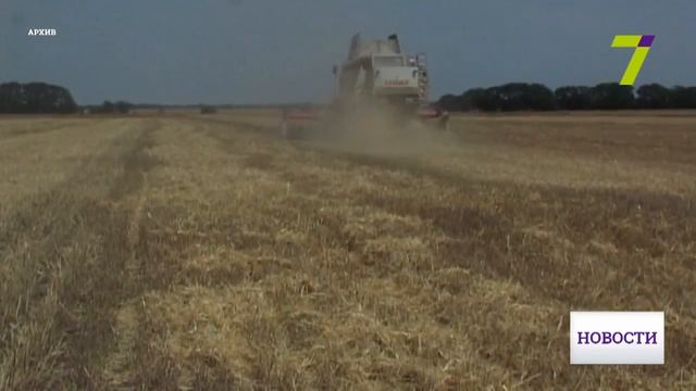 Кумовство и самовольный захват Аграрное рейдерство в Одесской области смотреть онлайн
