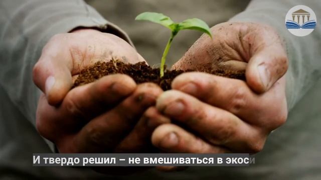 Садовник создал сад в бутылке и не открывал его 50 лет смотреть онлайн