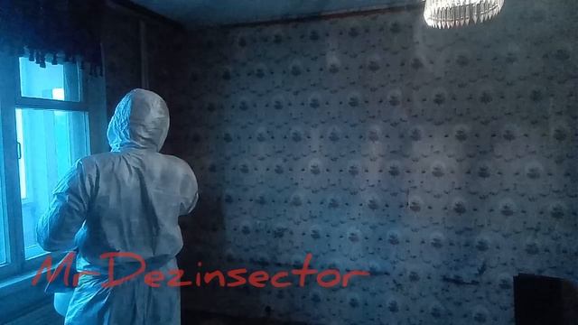 Клопы!!! Закрепительная обработка... смотреть онлайн