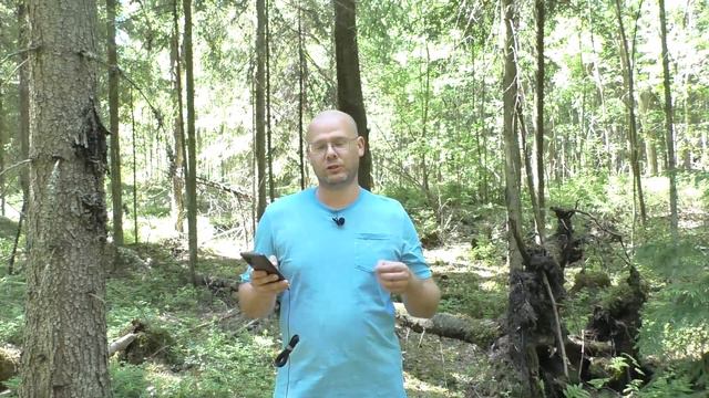 Шекспир. Сонет № 11 смотреть онлайн
