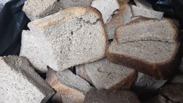 Можно ли давать курам хлеб? смотреть онлайн