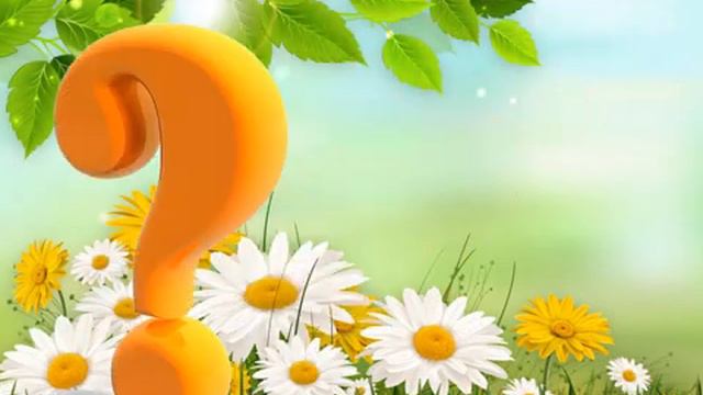 Музыкально-дидактическая игра Тихие и громкие звоночки смотреть онлайн