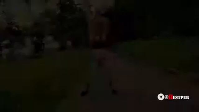 Hamid Homayound whit best mix смотреть онлайн