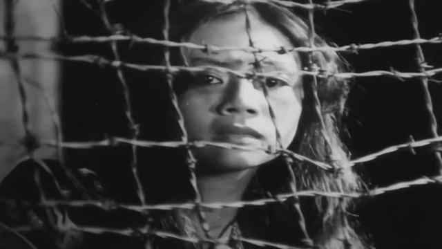 Best Vietnamese War Movie All Of Time English | Whirlwind Season смотреть онлайн