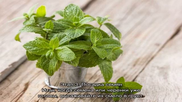 Стройка Хиты