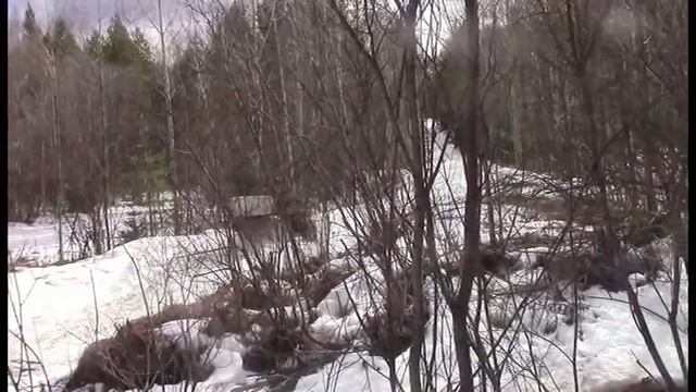 крутой снегомес!! поездка на виновку последний снег смотреть онлайн