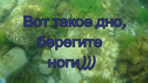 Парк-отель Марат, Гаспра, Крым, июль 2018