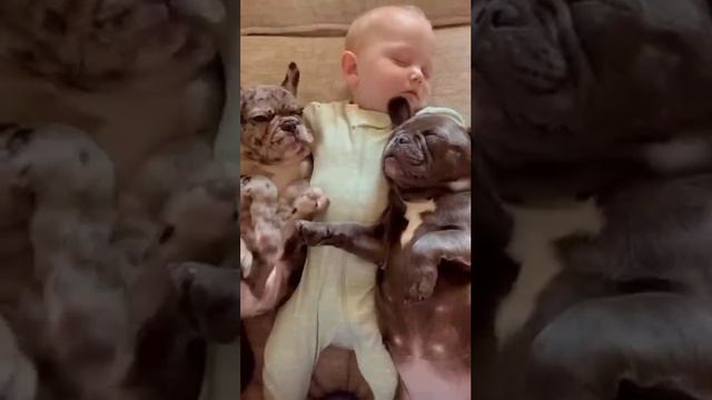 Самое милое видео за сегодня?