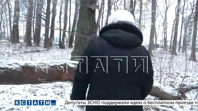 Памятник природы регионального значения превратился в памятник бесхозяйственности смотреть онлайн