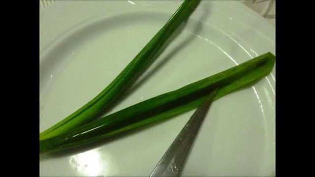 УКРАШЕНИЕ БЛЮД. ЛАНДЫШИ ИЗ ЛУКА смотреть онлайн