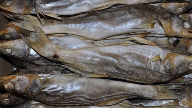 Как хранить вяленую рыбу