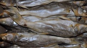 Как хранить вяленую рыбу
