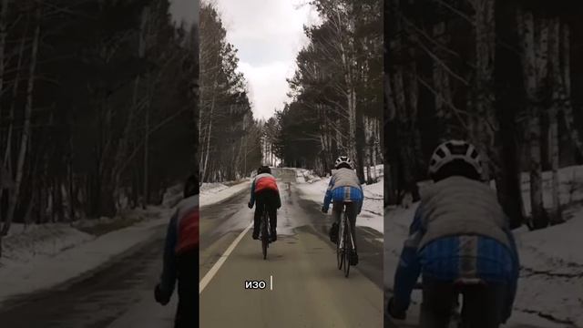 Тренировка старшая группа #cycling #велоспорт #shorts смотреть онлайн