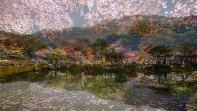 Jonathan Cain - Elegance On The Catwalk.mp4