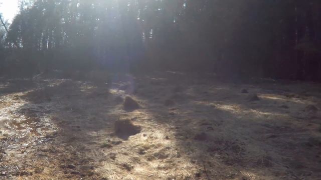 В поисках барской усадьбы в Коломенском уезде!!! смотреть онлайн