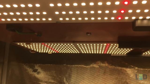 TOP 13 BEST LED Grow Lights 2021 смотреть онлайн