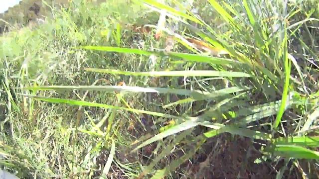 Готовый фундамент для рекламного щита! смотреть онлайн