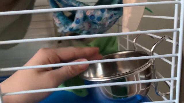 🎉ДЕНЬ РОЖДЕНИЯ МИККИ 🎉// один годик!! // подарочки :3 смотреть онлайн