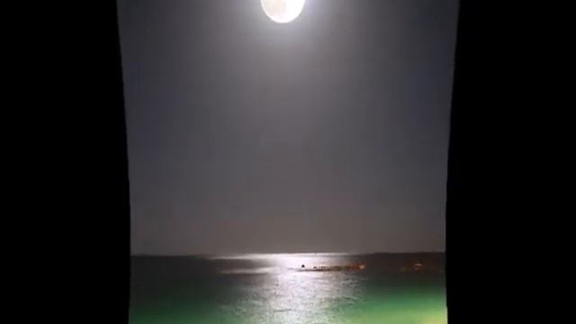 А.А.Ахматова.wmv смотреть онлайн