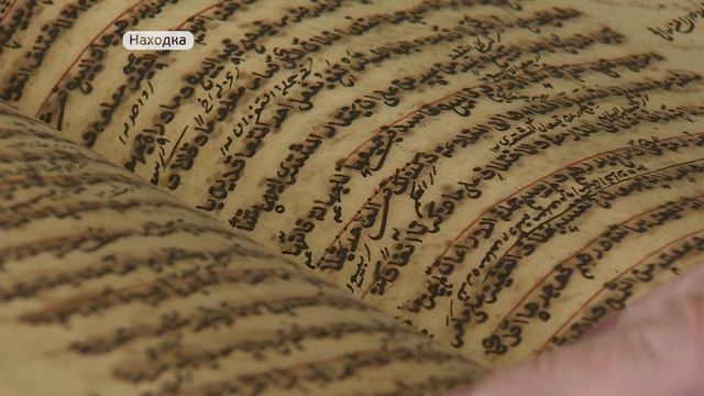 Национальные общины татар и башкир Находки объединяет организация "Туган тел" смотреть онлайн
