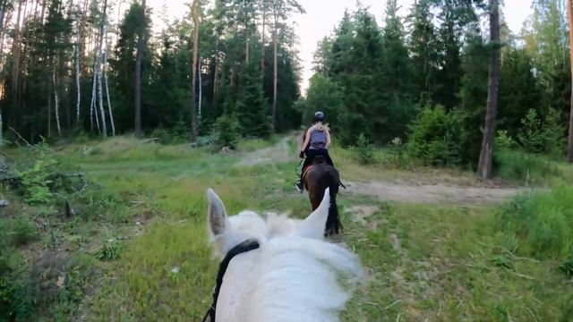 Конная прогулка в ЛЕС ? | КоноVLOG