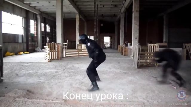 ✓Кратко : Начало и конец урока через ФСБ смотреть онлайн