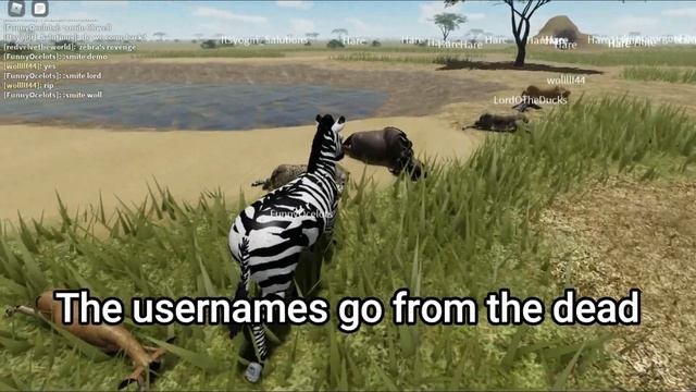 Roblox - Wild Savanna - Private Server Commands - How to guide смотреть онлайн