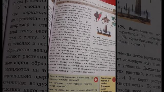 Краткий пересказ §40 Видоизменение корней.Биология 5-6 КЛАСС. смотреть онлайн