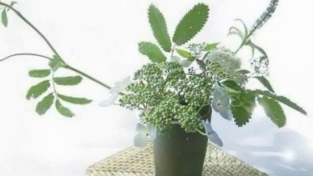 Flowers - Original Music смотреть онлайн