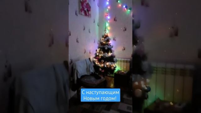 22 декабря 2021 г. смотреть онлайн