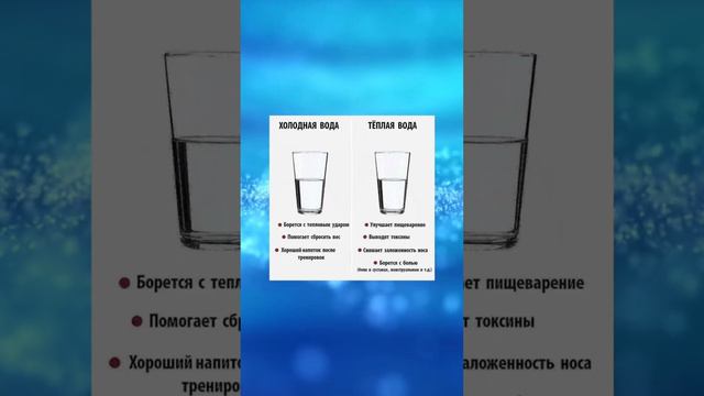 Что Происходит с Нашим Телом, Когда Мы Пьем Воду ?! #вода #здоровье #здоровыйобразжизни #какпитьвод смотреть онлайн