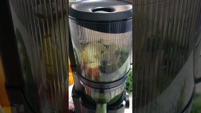 Juicing Leafy Greens In The Nama J2 Juicer! ?