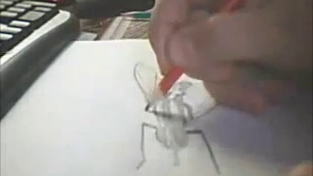 [3D] Объемный рисунок в карандаше смотреть онлайн