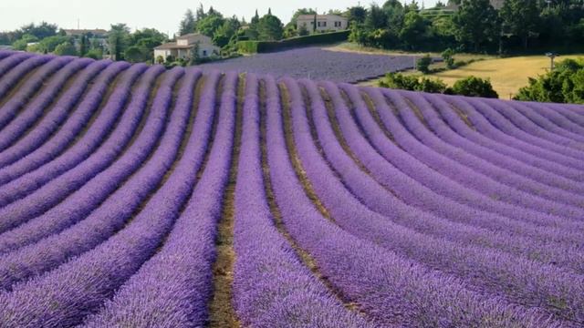 10 Brightest Places on the Planet! SEE IT! смотреть онлайн