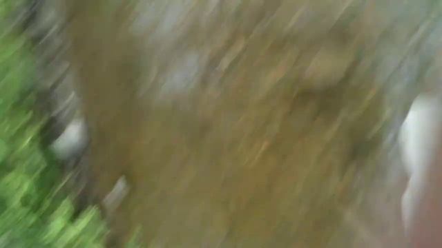 groovy loving the water смотреть онлайн