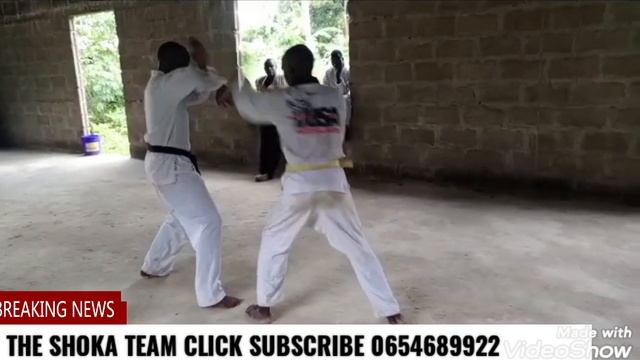JIFUNZE MAPIGANO YA HATARI NDANI YA THE SHOKA TEAM KWAKUJIAMINI NA UTHUBUTU NDANI YA DARASA HURU смотреть онлайн