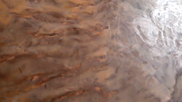 Оттиск со штампа "Скальный дуб"Микрорельеф.Заполнение акрилом смотреть онлайн
