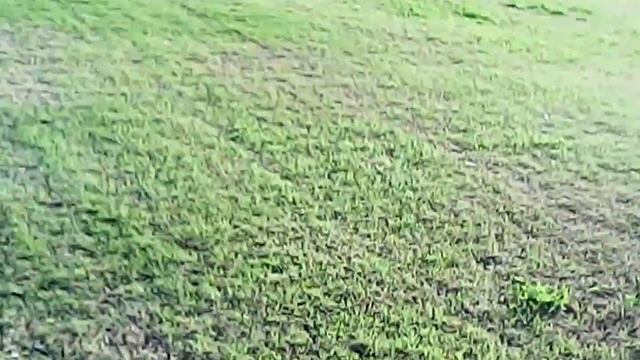 Third flight of the UDI U818A Quadcopter from First Person View (FPV) | Cactus Park (2 of 2) смотреть онлайн