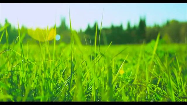 2016_апрель Калуга. Park Town. Плизер смотреть онлайн